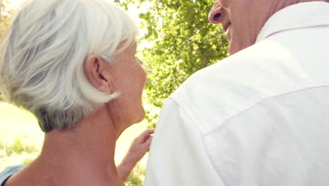 Senior-couple-walking-together-in-the-countryside