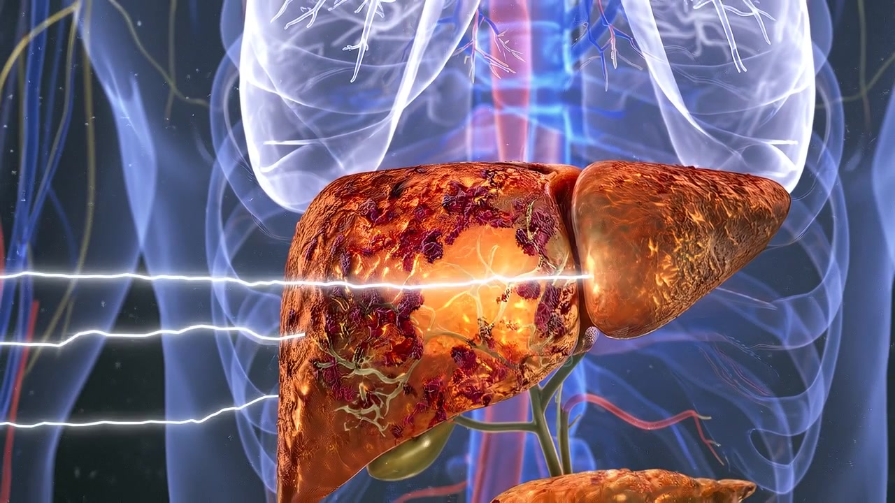 Rappresentazione anatomica del torace umano che mostra polmoni luminosi e la struttura del fegato