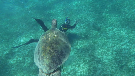 Buzo-Disparando-A-Una-Gran-Tortuga-Marina