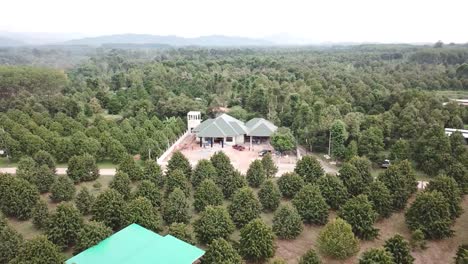 under construction house surrounded by trees, forward shot, aerial shot