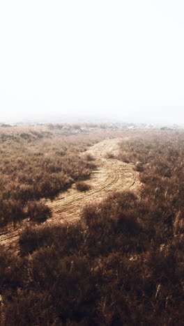 un camino de tierra a través de un campo, con niebla en el fondo