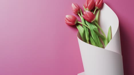 Video-Eines-Straußes-Roter-Tulpen-Auf-Weißem-Papier-Und-Kopierraum-Auf-Rosa-Hintergrund