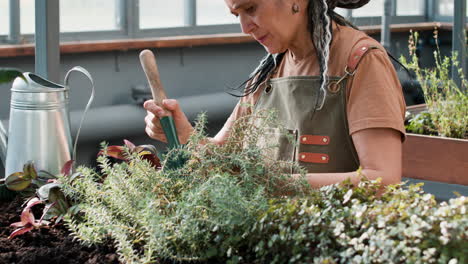 jardinero que trabaja en interiores