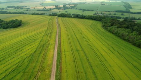 Vista-Aérea-Del-Campo-Verde-Sin-Flores-En-El-Nido,-West-Sussex,-Inglaterra-En-Primavera