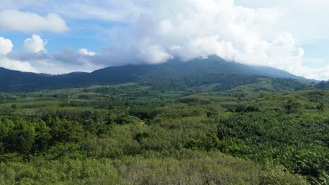 parque nacional khao phanom bencha en krabi la montaña más alta de krabi cubierta de nubes rodeada de un bosque exuberante y verde