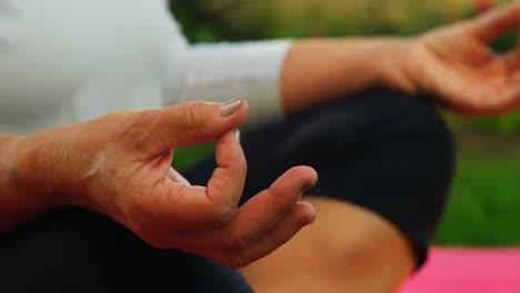 femme âgée pratiquant le yoga dans le jardin 4k