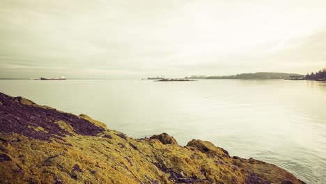 Rocks-with-yellow-lichen-by-coastline