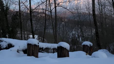 snow forest landscape in iran hyrcanian nature winter rural village countryside mountain talesh highland cabin cold agriculture road gravel driving snowflakes extreme climate gilan cottage lifestyle