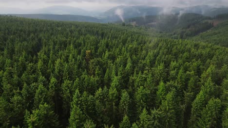 mountain forest landscape aerial flight