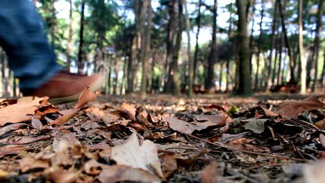 walking forest autumn park lonely man feet