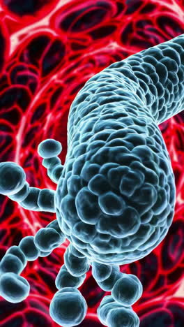 3d rendered bacteria