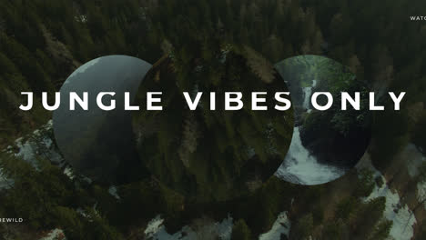 back to nature: forest landscapes and jungle vibes