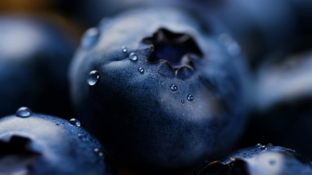 Closeup Blueberries With Water Droplets, Velvety Skin And Deep Indigo Hue, Dramatic Shallow Depth Of Field