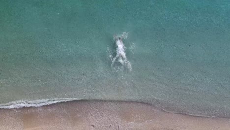 swimming in ocean blue beach