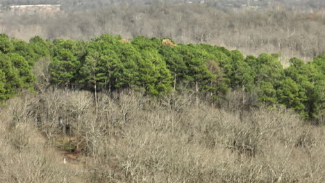 Paved-Road-Amidst-Lush-Hardwood-Forest-Near-Lake-Wedington-In-Fayetteville,-Arkansas,-USA