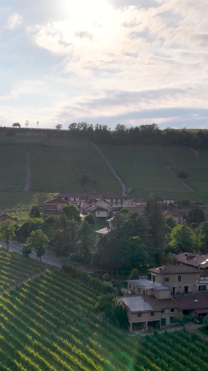 Ampia ripresa aerea di rigogliosi vigneti verdi e una villa rustica sotto una luce solare soffusa.