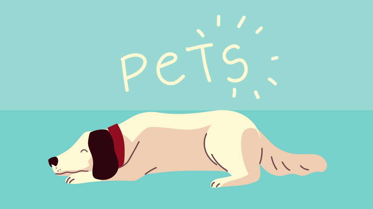 바닥에 있는 귀여운 작은 개 애완동물