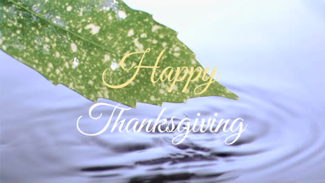 Animation-Eines-Fröhlichen-Thanksgiving-Textbanners-Vor-Der-Nahaufnahme-Eines-Blattes,-Das-Ins-Wasser-Tropft