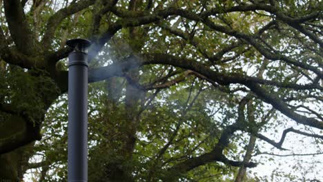 mid shot left of frame of a metal flue chimney with light smoke, large tree behind