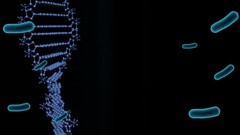 Animation-of-cells-over-dna-strand-on-black-background