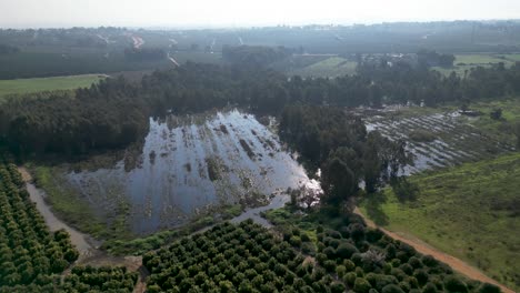 Video-De-Drones-4k-Del-Estanque-De-Invierno-Rehovot,-La-Vida-Aislada-De-La-Temporada-De-Lluvias,-Rehovot-Israel