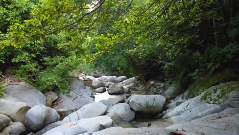 Santa-Marta-Regenwald-Mit-Dem-Fluss,-Der-über-Felsen-Fließt,-Mit-Einer-Filmreifen-Aussicht