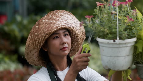 gardener pruning leaves