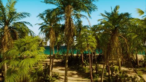 playa tropical con palmeras