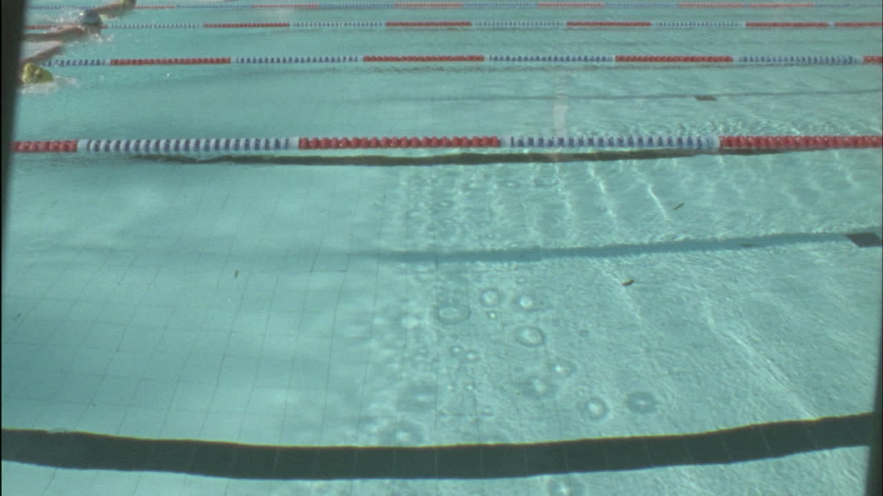 수영장 저편으로 여러 여성 경주