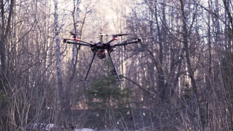 drone in a winter forest