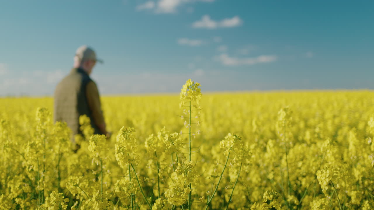 씨  에 있는 농부