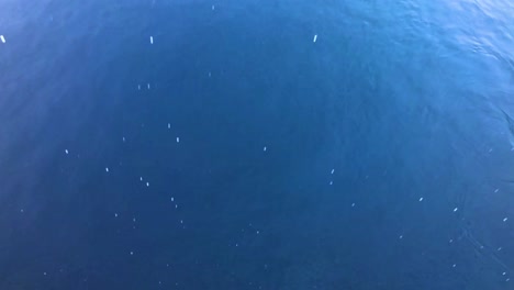 rain falls into the crystal blue waters, as a storm rolls in just off the caribbean islands