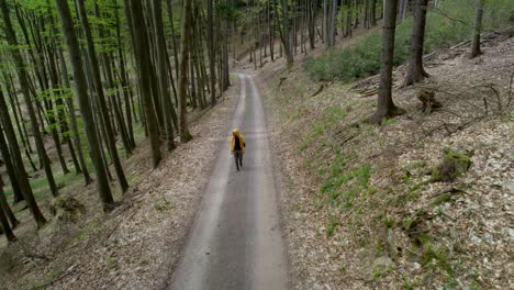 drone-weergave van vrouw in gele jas die door bospad loopt in bossen en bosbodembladeren