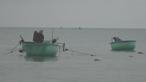 Los-Peces-Costeros,-También-Llamados-Peces-De-Bajura-O-Peces-Neríticos,-Habitan-El-Mar-Entre-La-Línea-De-Costa-Y-El-Borde-De-La-Plataforma-Continental.