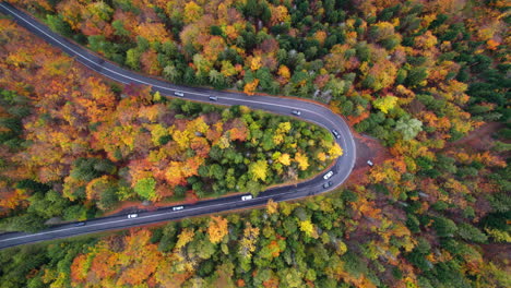 aerial view of winding mountain road trough the forest in the autumn with cars passing on the road