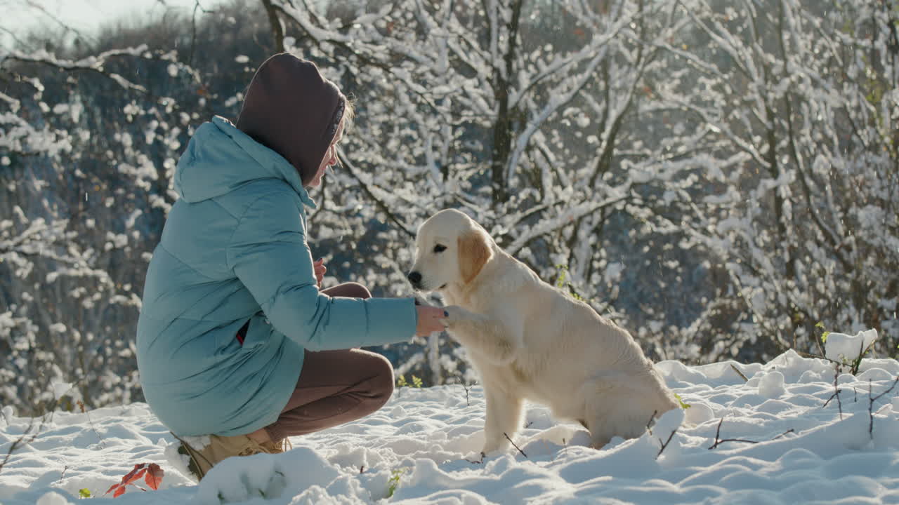 mujer entrenando a un perro en un parque de invierno, el perro le da una pata al dueño