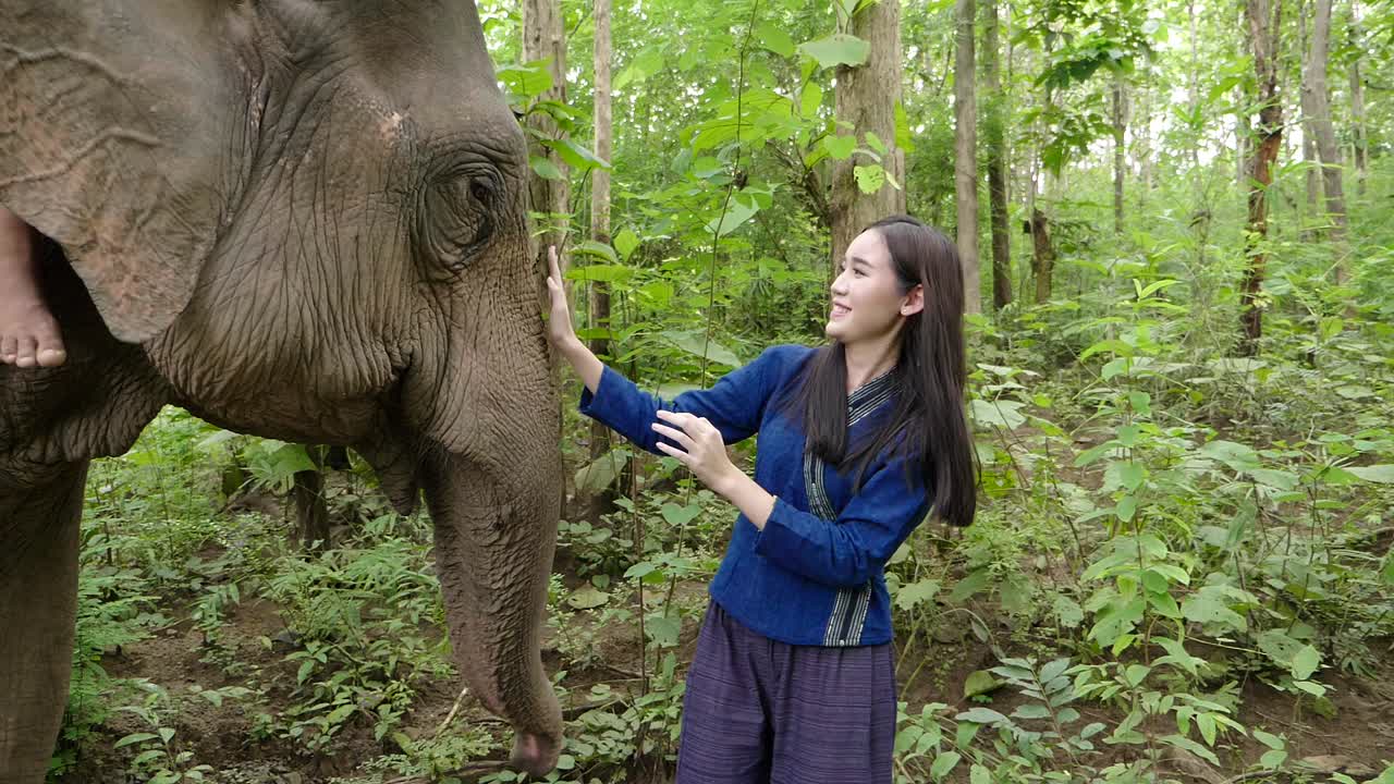 Woman interacting with an elephant in a Thai forest