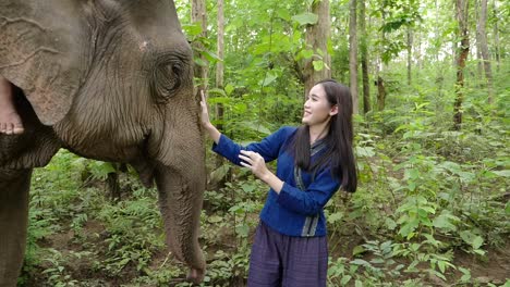 woman interacting with an elephant in a thai forest