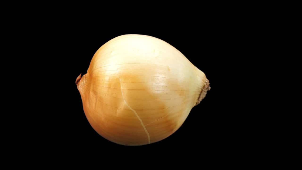 Onion Rotating With Alpha Channel, Video In 4K