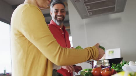 Feliz-Pareja-Diversa-Cocinando-Juntos,-Mezclando-Ingredientes-En-Una-Sartén-En-La-Cocina