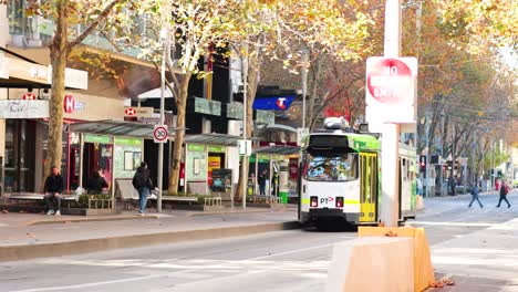 tram travels through a busy melbourne street