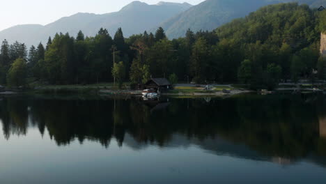 lush green forest at the waterfront of lake bohinj in slovenia during daybreak