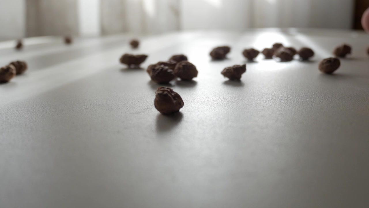 Mano che sparge chufa essiccate su una superficie interna bianca in luce naturale