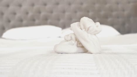 white cut baby shoes on the bed