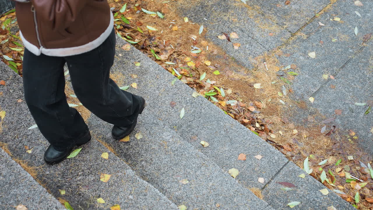 A female walking in light snowfall, wearing brown shearling jacket, black trousers, walking on stone steps covered with colorful autumn leaves, face not visible