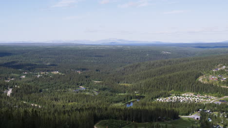 Scenic-Landscape-Panning-Over-Forest-Trees-in-Northern-Sweden-During-Summer