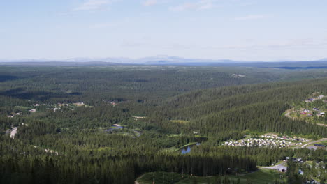 scenic landscape panning over forest trees in northern sweden during summer