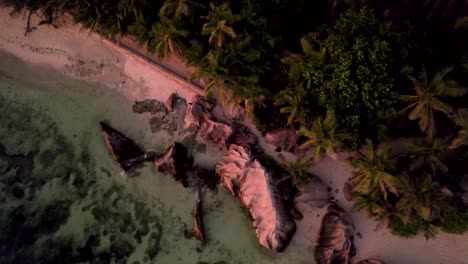 straight down aerial view of boulders and palm trees on seychelles beach