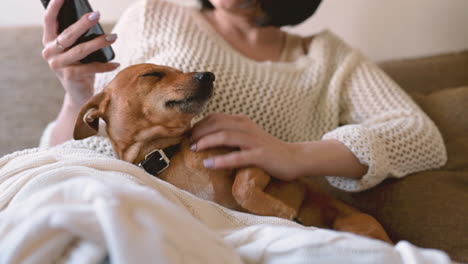 Mujer-Morena-Y-Su-Perro-Sentados-En-El-Sofá-Y-Cubiertos-Con-Una-Manta