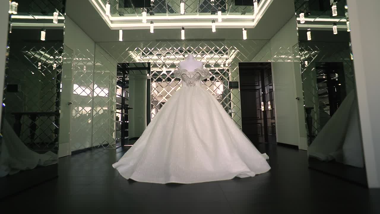 귀중한 돌로 된 웨딩 드레스